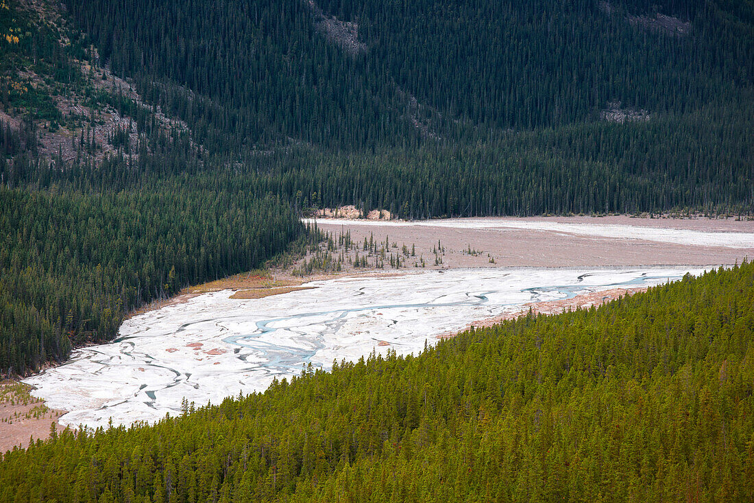 Landscape at  Icefield Parkway, Jasper National Park, Rocky Mountains, Alberta, Canada