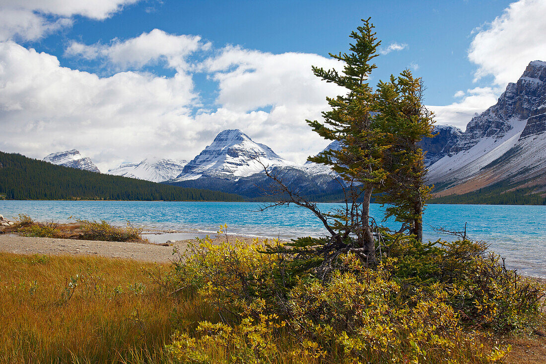 Bow Lake, Banff National Park, Rocky Mountains, Alberta, Canada