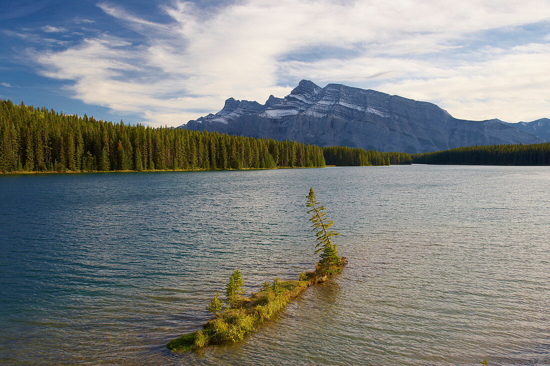 Inselchen im Two Jack Lake, Mount Rundle, Banff National Park, Rocky Mountains, Alberta, Kanada