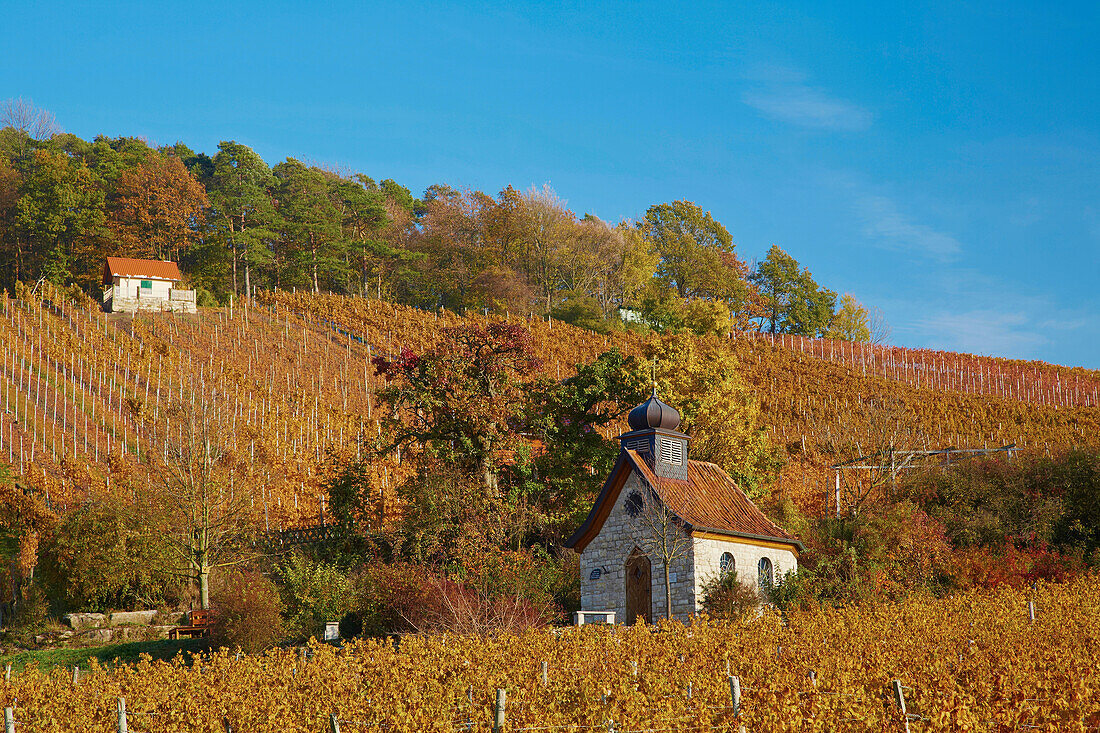 Vineyard, Falkenberg, St. Anna-Kapelle 2003, Schmittbecks Kappela, Falkenstein, Community of Donnersdorf, Unterfranken, Bavaria, Germany, Europe