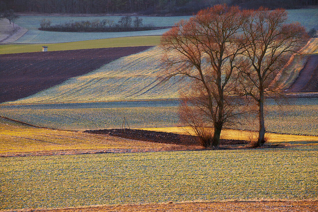 Sunset between Stadt- and Oberlauringen, Unterfranken, Bavaria, Germany, Europe