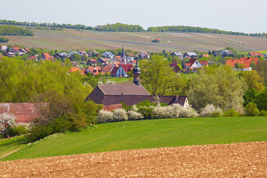 Blick über Felder auf das ehemalige Zisterzienserkloster Heiligenthal gegründet 13. Jh. und Schwanfeld, Frühling, Unterfranken, Bayern, Deutschland, Europa