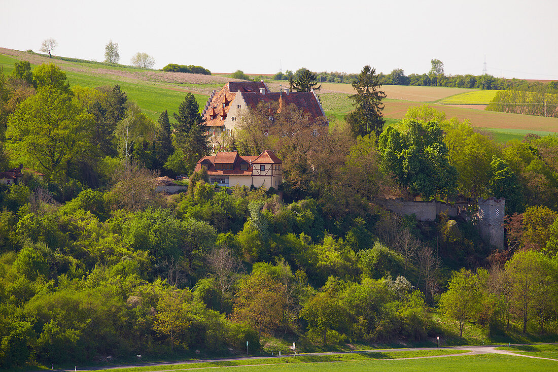 Schloß Klingenberg, Castle, Spring, Unterfranken, Bavaria, Germany, Europe