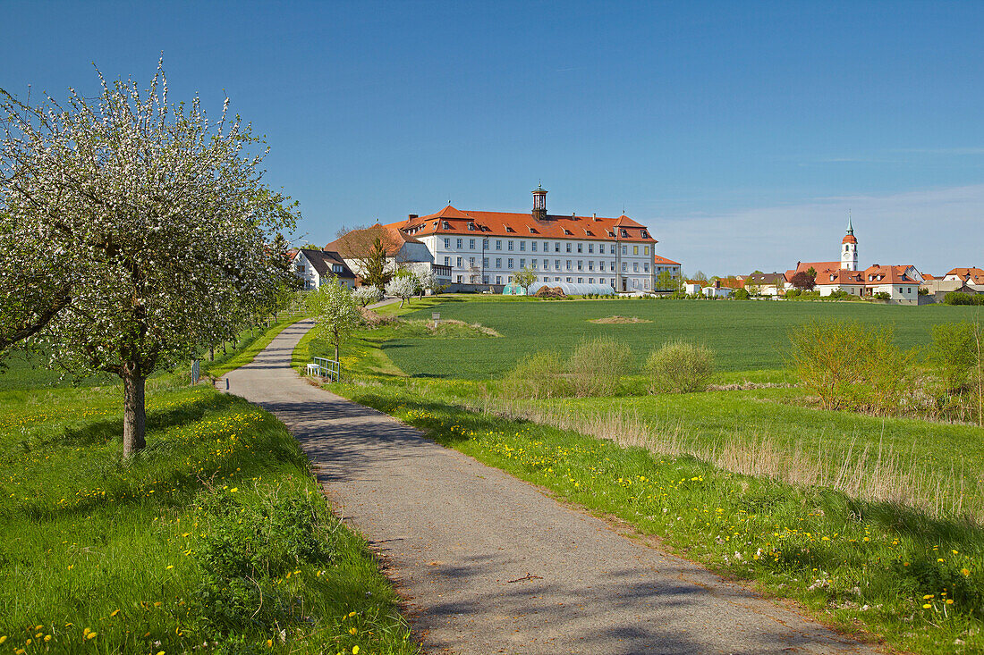 Ehemalige Klosteranlage Heidenfeld mit Dorf und blühendem Apfelbaum, Frühling, Gemeinde Röthlein, Unterfranken, Bayern, Deutschland, Europa