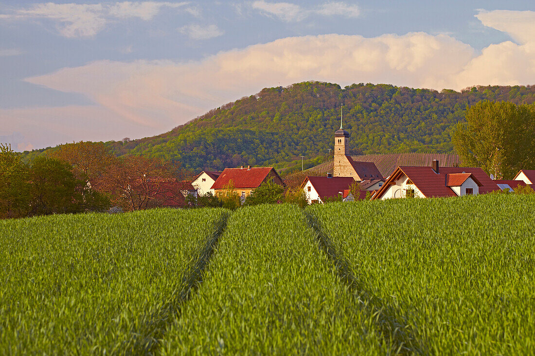 Blick über Felder auf Hundelshausen, Gemeinde Michelau i. Steigerwald, Frühling, Unterfranken, Bayern, Deutschland, Europa
