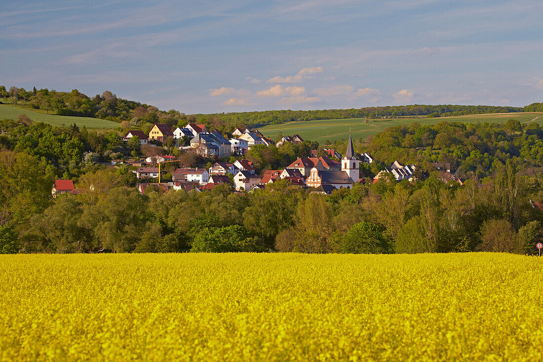Blick über blühender Rapsfeld auf Schonungen, Unterfranken, Bayern, Deutschland, Europa