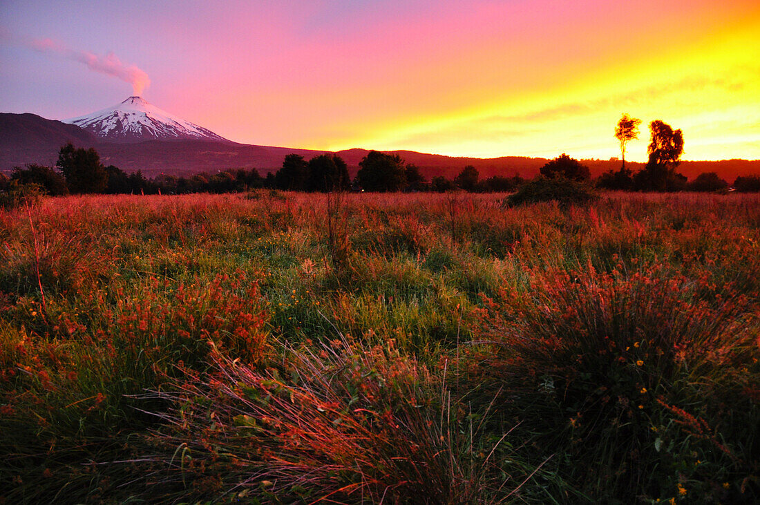 'Vulkan Villarrica bei Sonnenuntergang, schneebedeckt, Rauchsäule kündigt Vulkansausbruch und Eruption an, Stratovulkan, Nationalpark Villarrica, Pucon, Región de la Auracania, Region Los Rios,  Patagonien, Anden, Chile, Südamerika, Amerika;'