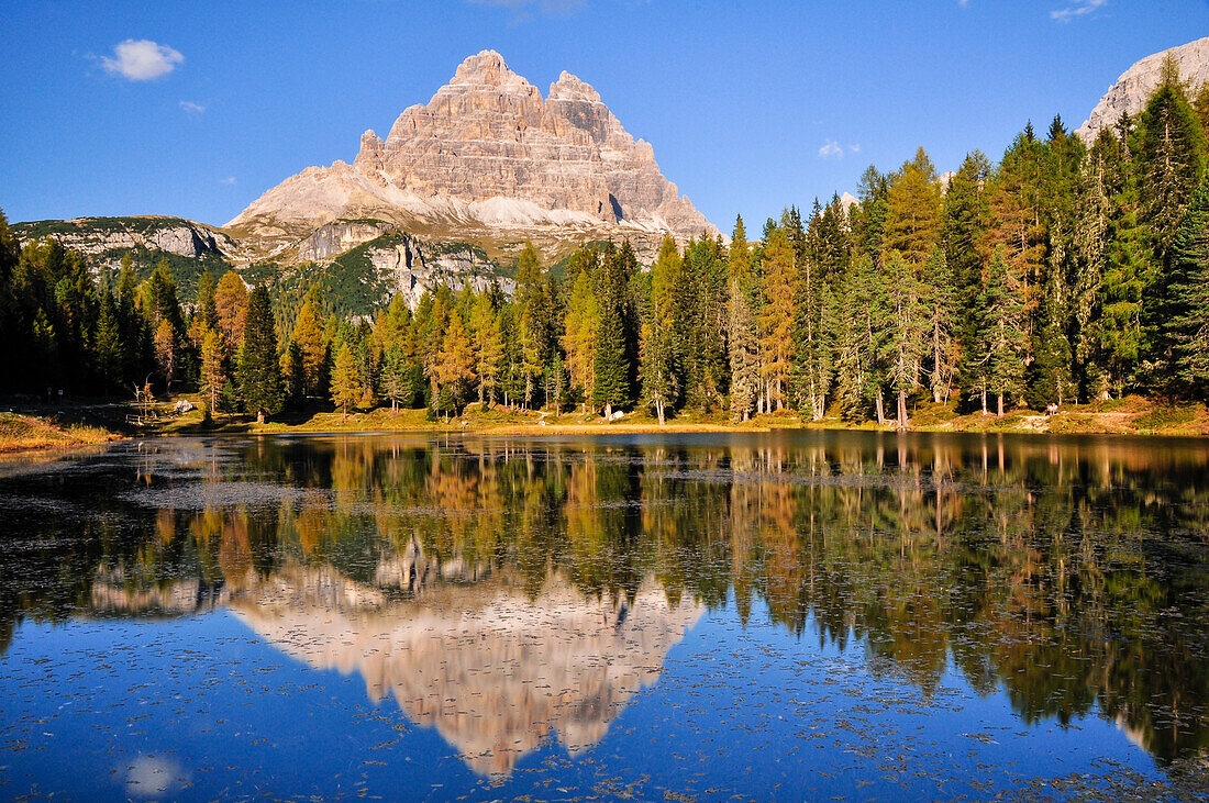 Bergsee Lago Antorno im Herbst, Dolomiten, Spiegelung der Gipfel der Cadini-Gruppe (Cadini di Misurina), Dolomiten, Belluno, Venetien, Südtirol, Alto Adige, UNESCO Welterbe, Italien, Alpen, Europa