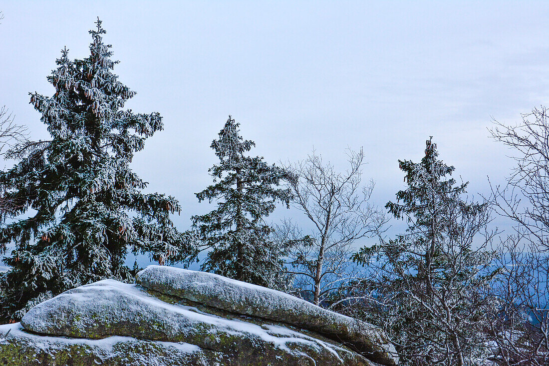 view from rocks of Ahresnklint, also Ahrensklippen or Adlerfelsen, in winter, Schierke, National Park Harz, Harz Mountains, Saxony-Anhalt, Germany