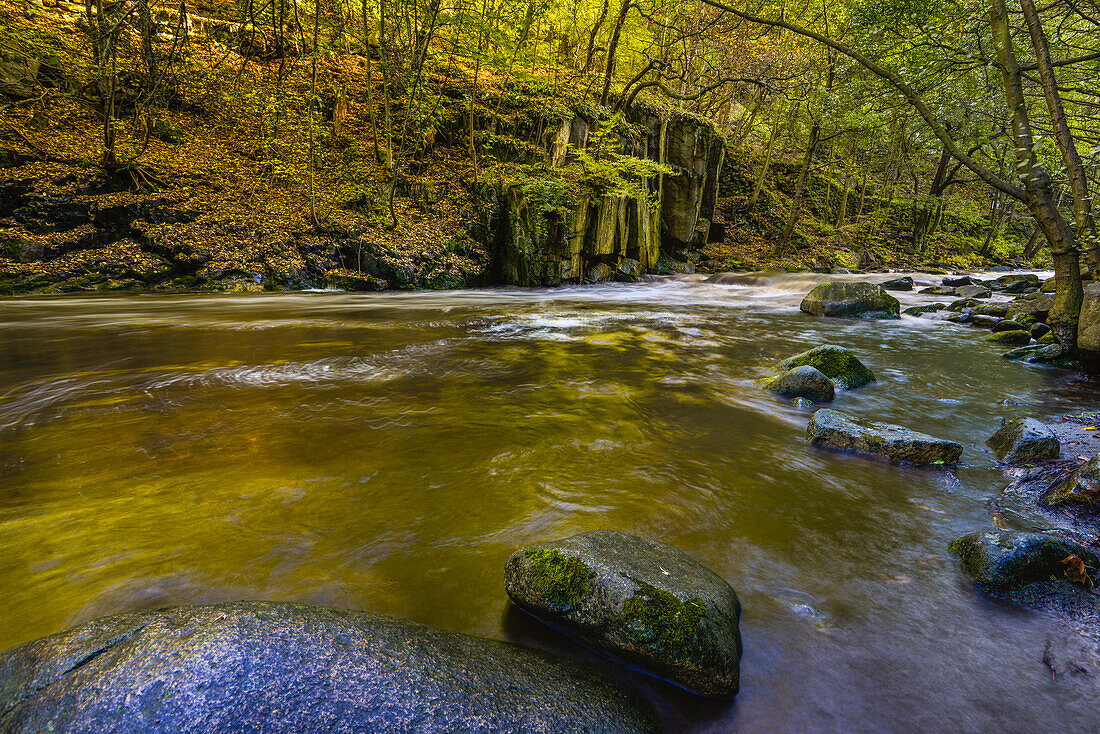 Fluss Bode fließt über Steine und Felsen im Herbst, Bodetal, Thale, Harzvorland, Harz, Sachsen-Anhalt, Deutschland