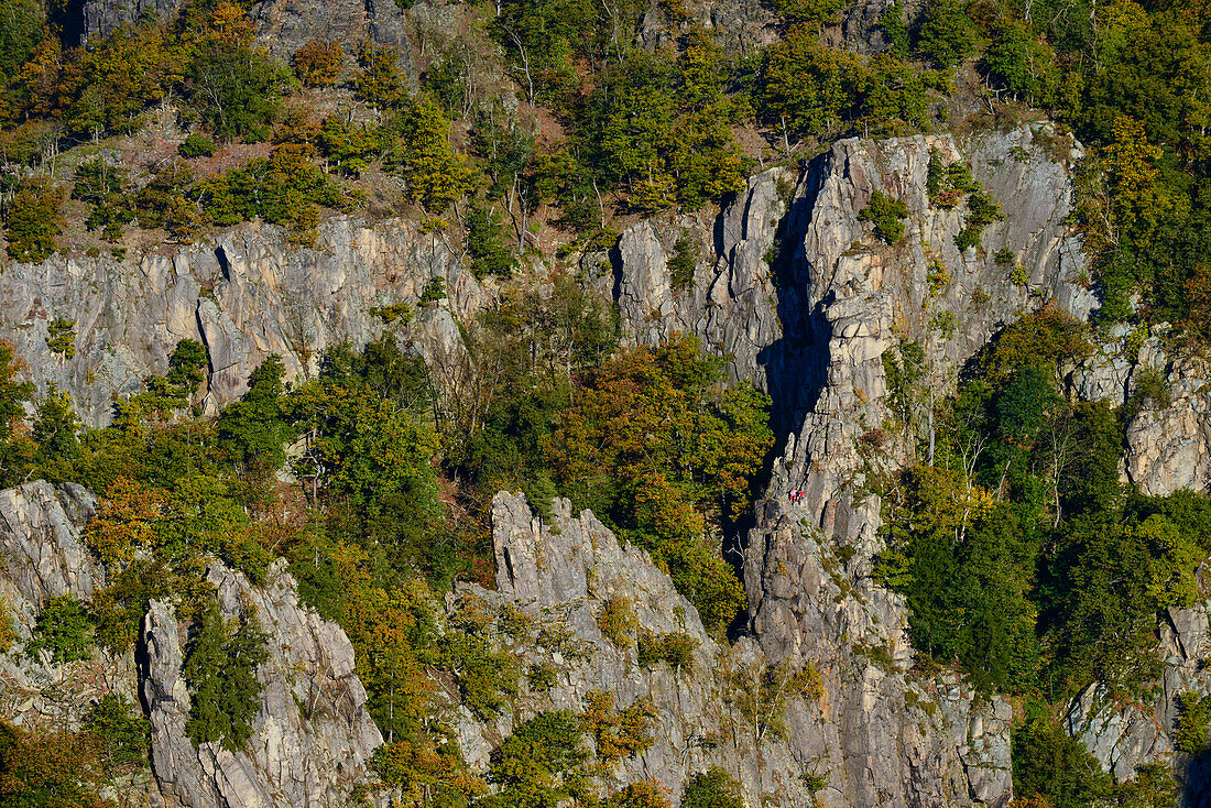 Blick von der Prinzensicht nahe Hexentanzplatz auf Felsen, Klippen und Kletterer im Herbst, Bodetal, Thale, Harzvorland, Harz, Sachsen-Anhalt, Deutschland