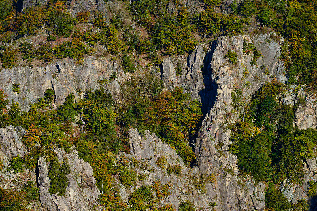 View from Prinzensicht near Witches dancing place (Hexentanzplatz), to rocks, cliffs and climbers in autumn, Bode Valley,  Thale, Harz Foreland, Harz Mountains, Saxony-Anhalt, Germany
