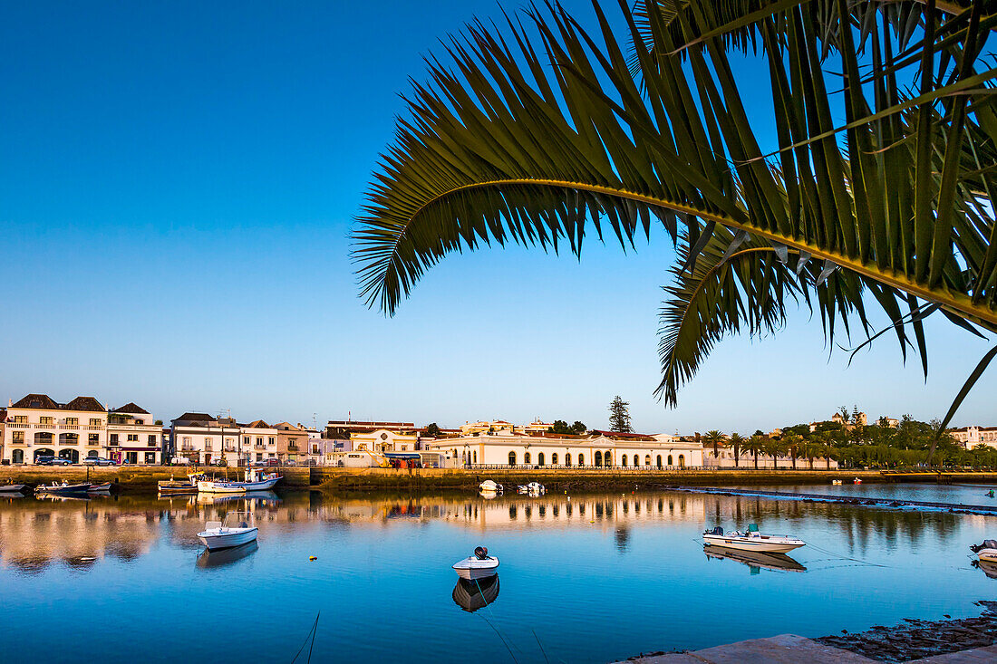 View across Rio Gilao towards the old market hall (Mercado da Ribeira), Tavira, Algarve, Portugal