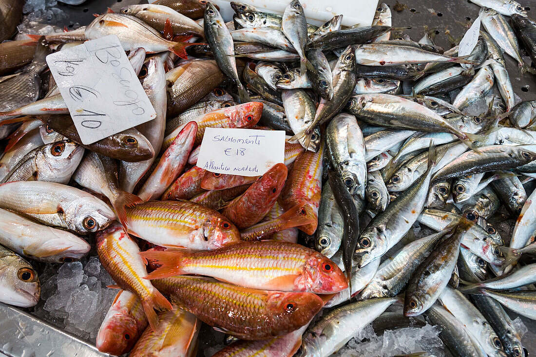 Fische auf dem Markt, Algarve, Portugal