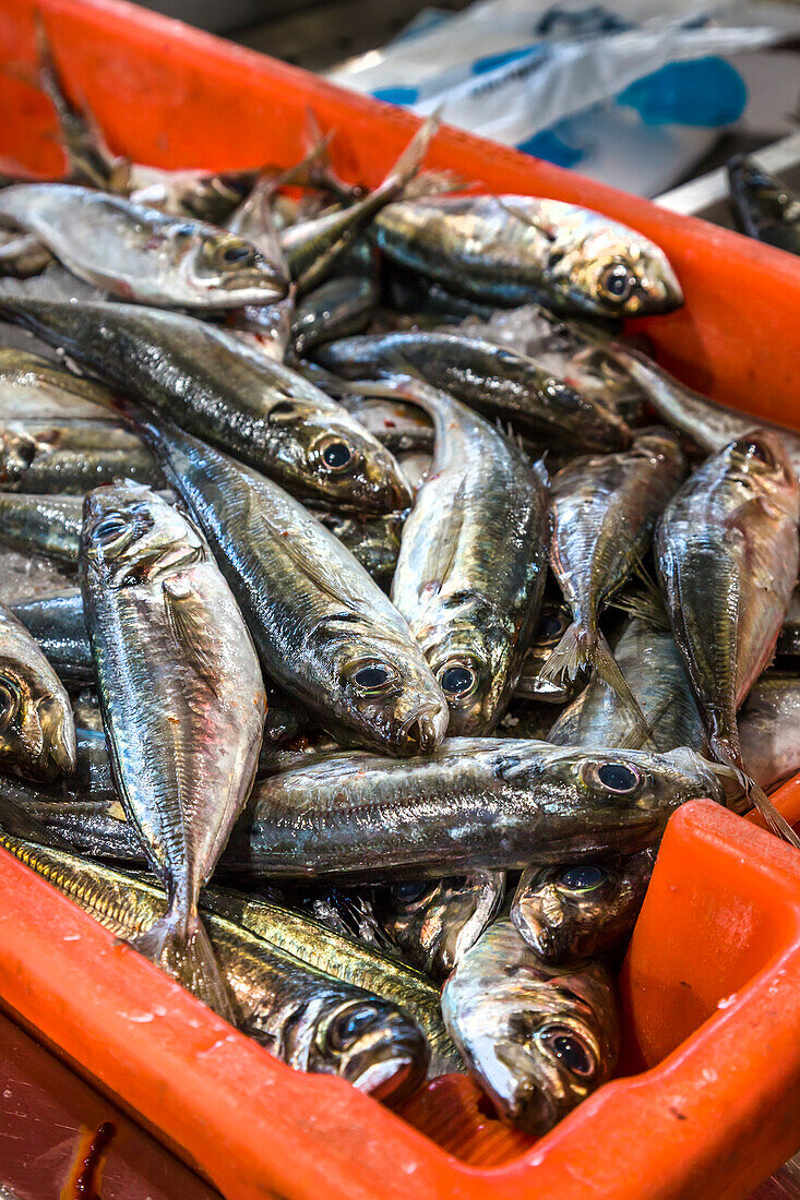 Sardinen auf dem Markt, Algarve, Portugal