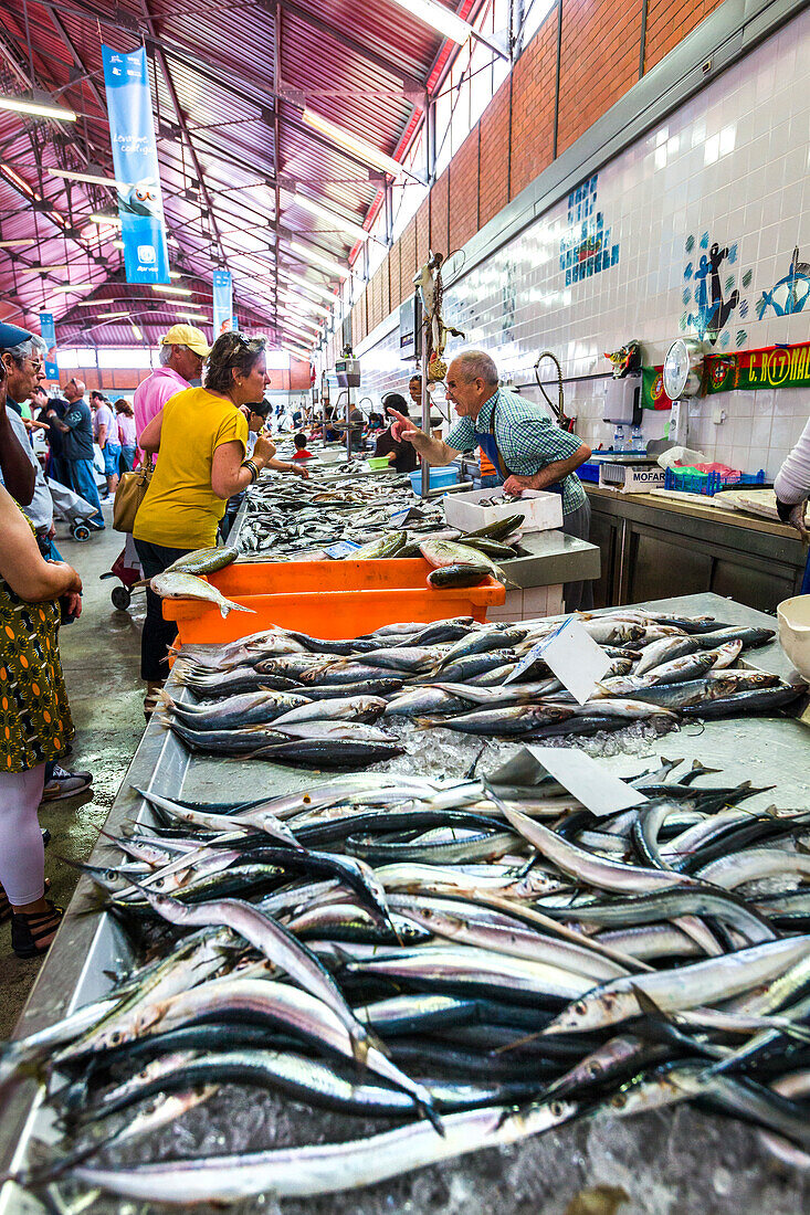 Fish stall at the Fish market, market hall, Olhao, Algarve, Portugal