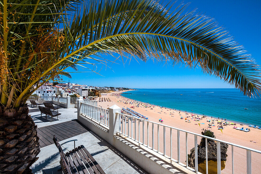 Strand, Praia dos Pescadores, Albufeira, Algarve, Portugal