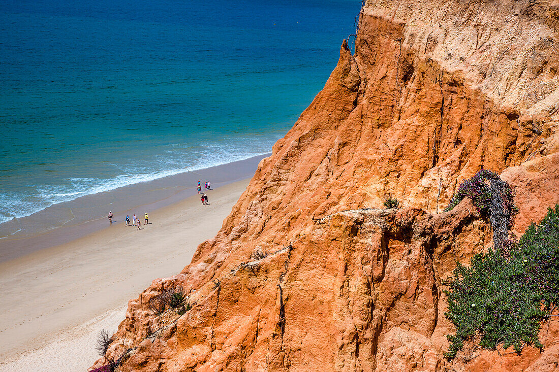 Red cliffs, Praia de Falesia, Albufeira, Algarve, Portugal