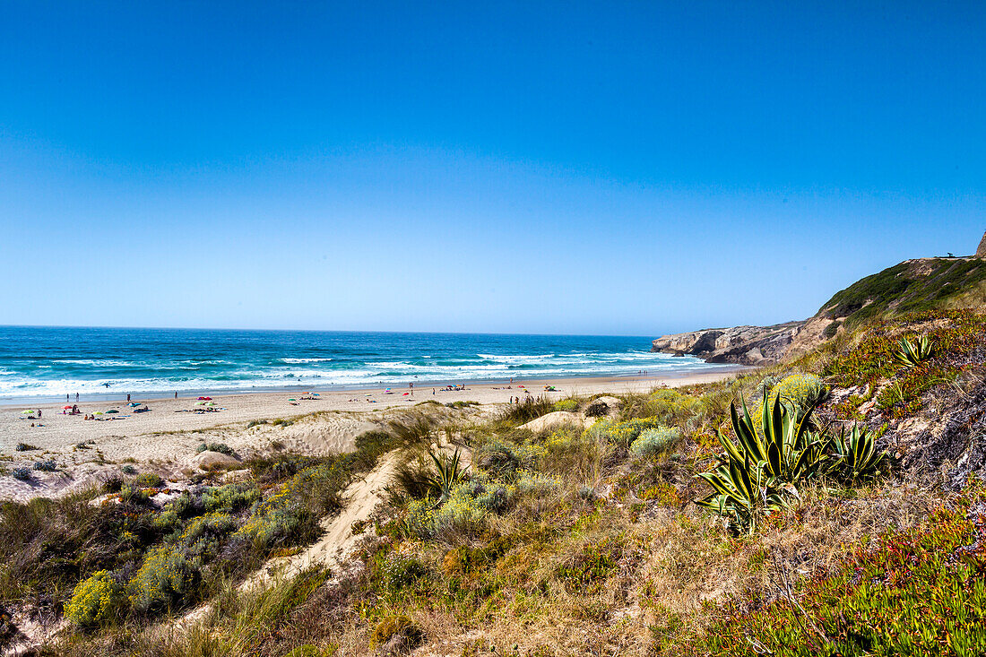 Blick auf den Strand, Praia de Monte Clerigo, Aljezur, Costa Vicentina, Algarve, Portugal