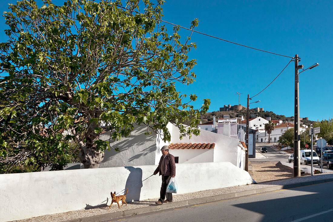 Man walking his dog near the castle, Evoramonte, Alentejo, Portugal