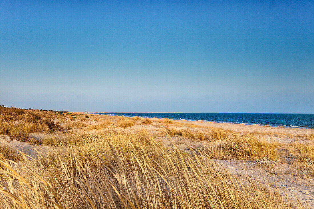 Beach and dunes, Monte Gordo, Faro, Algarve, Portugal