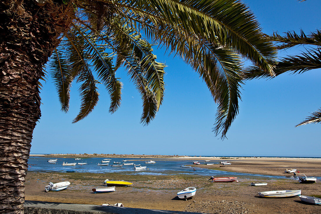 Palmen und Boote am Strand, Lagune, Fabrica bei Cacela Velha, Algarve, Portugal