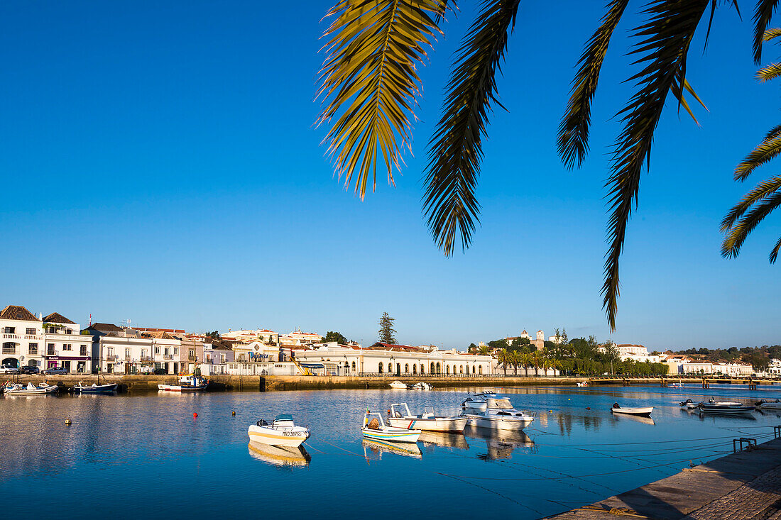 Blick über den Rio Gilao auf die alte Markthalle, Mercado da Ribeira, Tavira, Algarve, Portugal