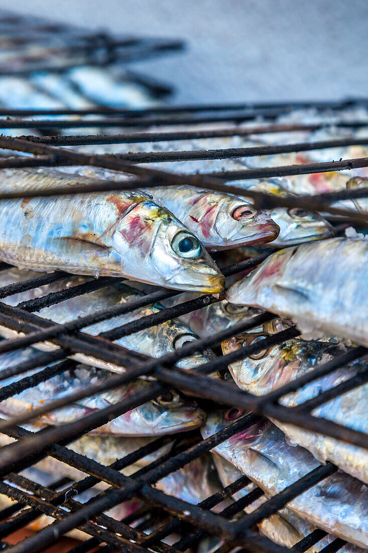 Sardines in a cocking grate, Algarve, Portugal