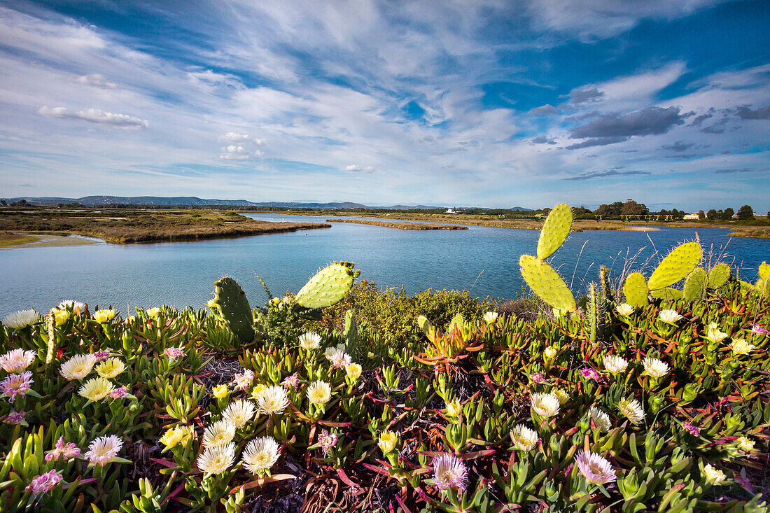 Lagoon, Parque Natural da Ria Formosa near Faro, Algarve, Portugal