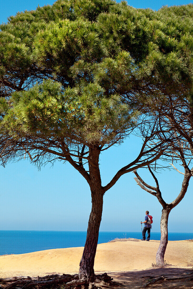 Wanderer blickt auf Strand Praia de Falesia, Albufeira, Algarve, Portugal