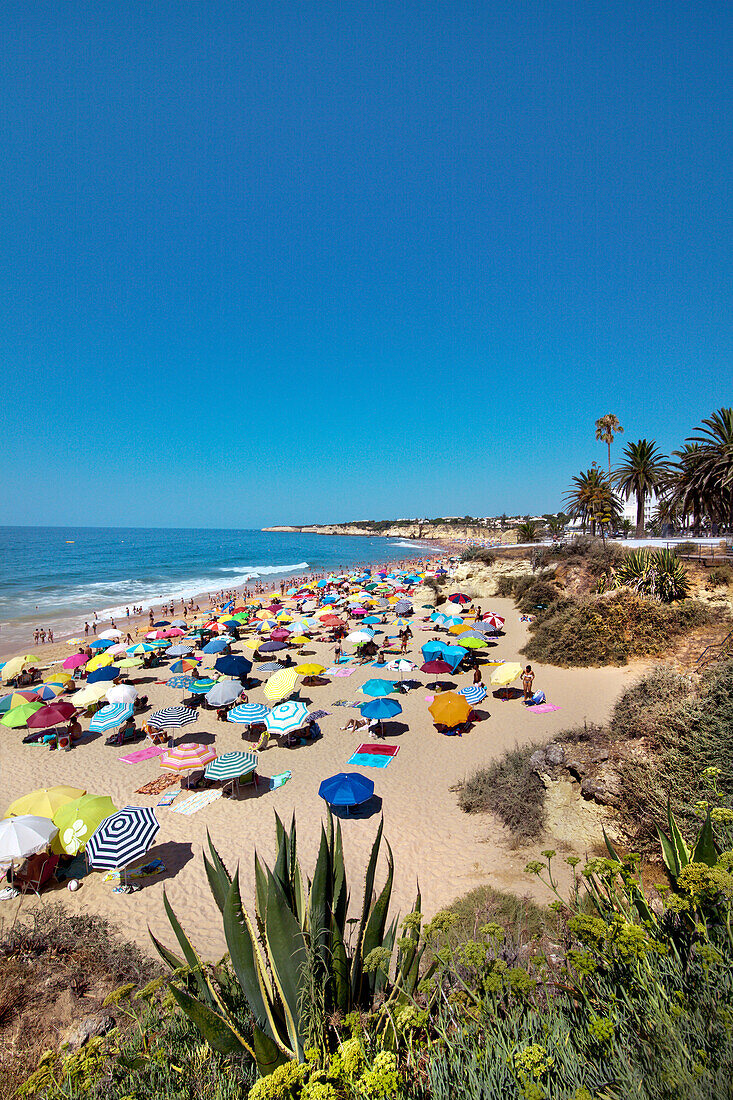 Beach, Armacao de Pera, Algarve, Portugal