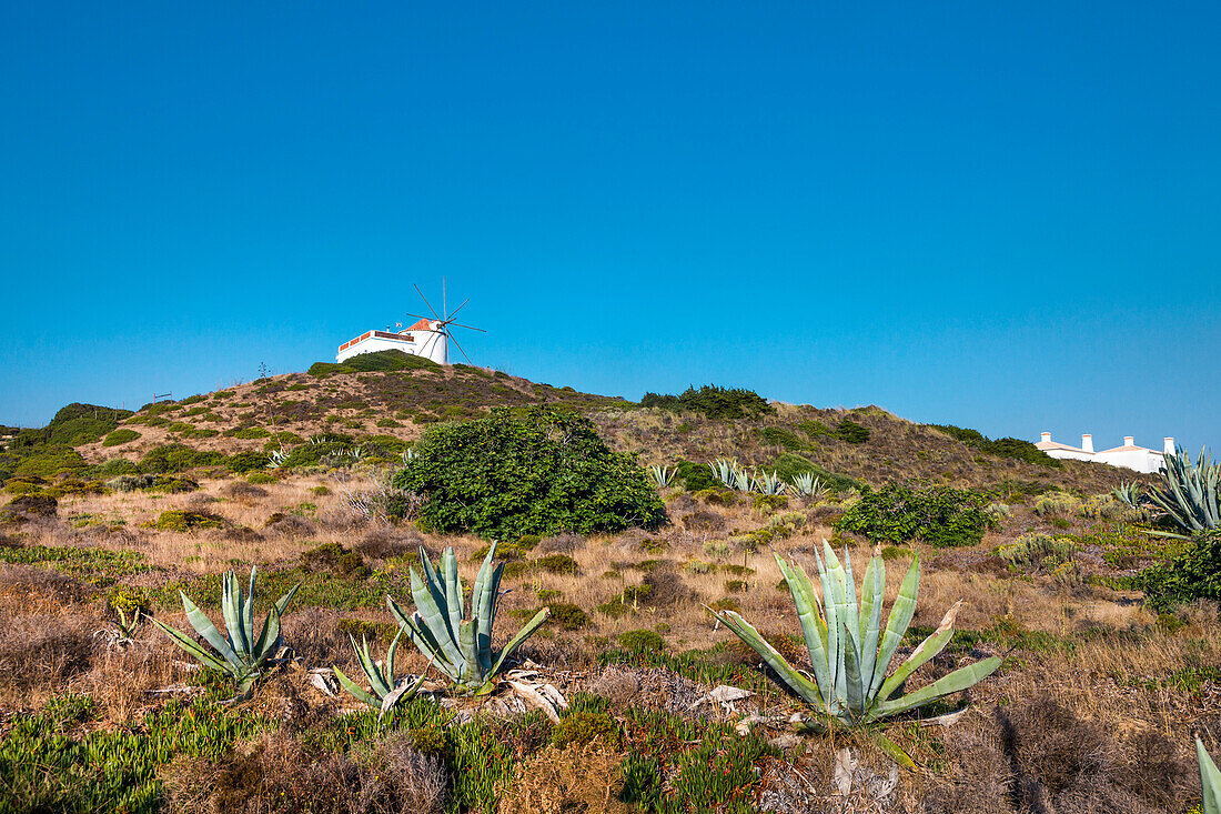 Windmühle, Carrapateira, Costa Vicentina, Algarve, Portugal