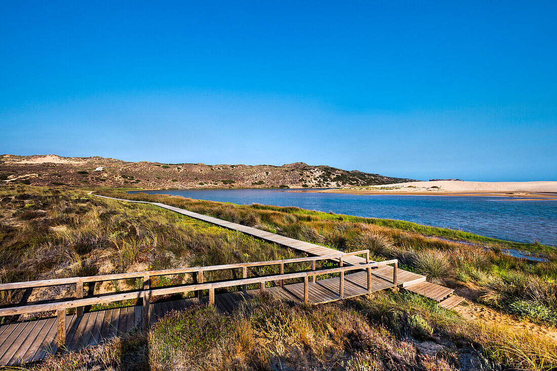 Footpath in the dunes, Praia da Bordeira, Carrapateira, Costa Vicentina, Algarve, Portugal