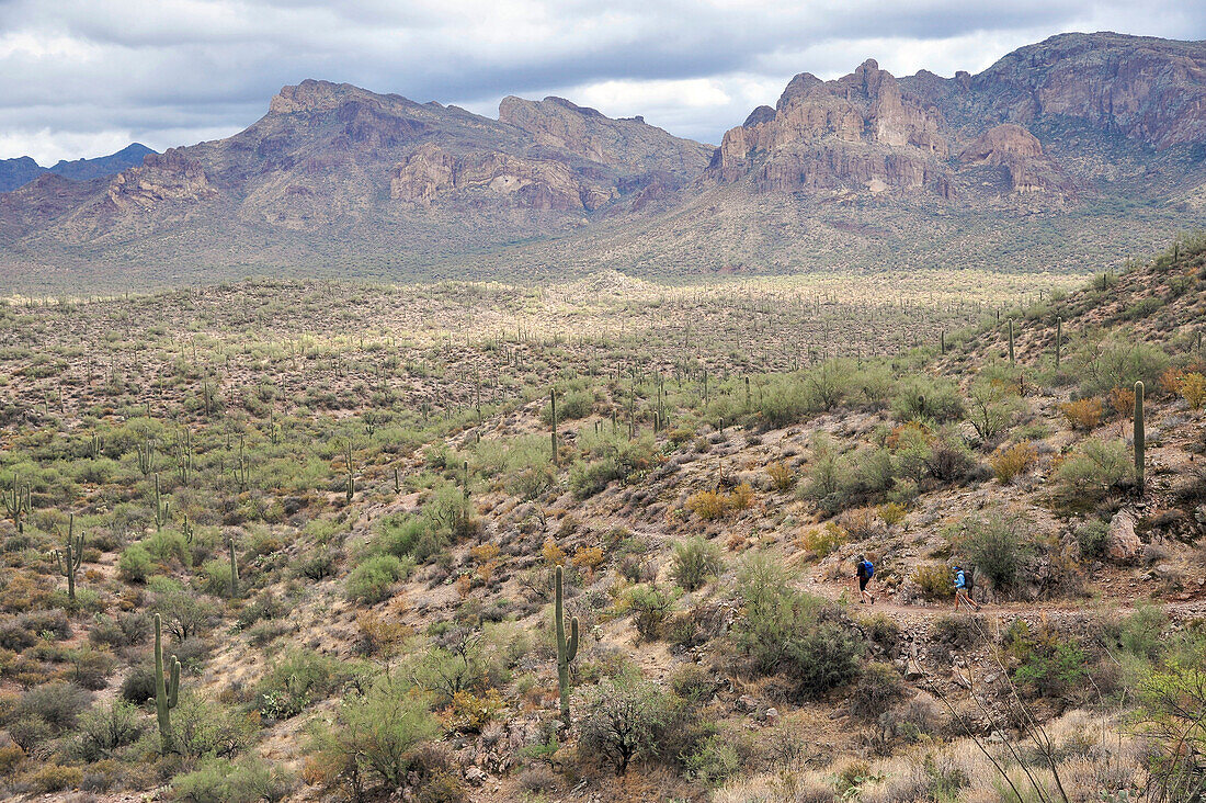 Man and woman backpackers hike through the rugged Sonoran desert on the Dutchmans Trail in the Superstition Wilderness Area, Tonto National Forest near Phoenix, Arizona November 2011.  The trail links up with the popular Peralta Trail for a spectacular to