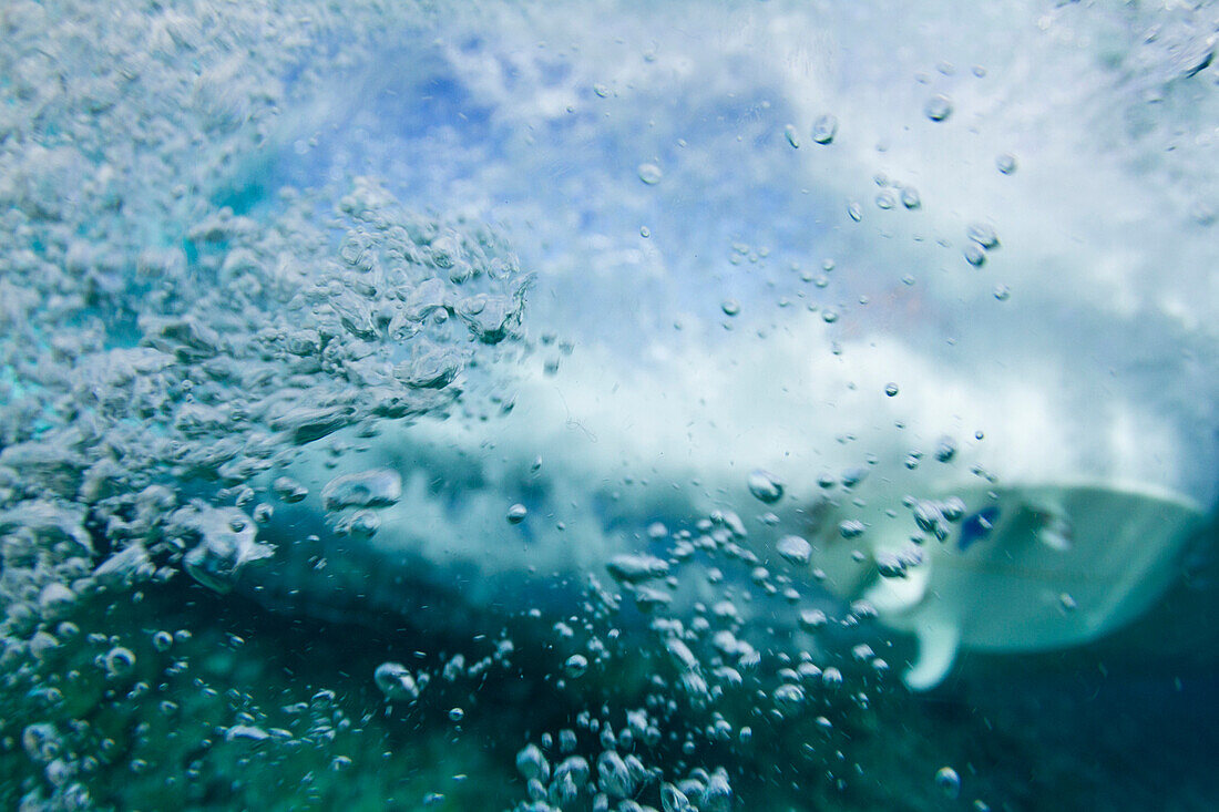 Underwater shot of a surfer riding a wave