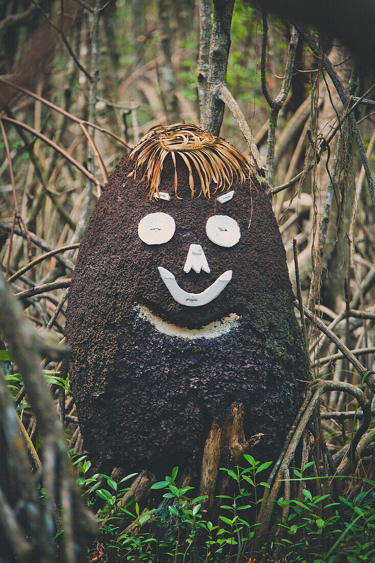 Hair, eyebrows, eyes, a nose, and a mouth is added to a Termite Hill.