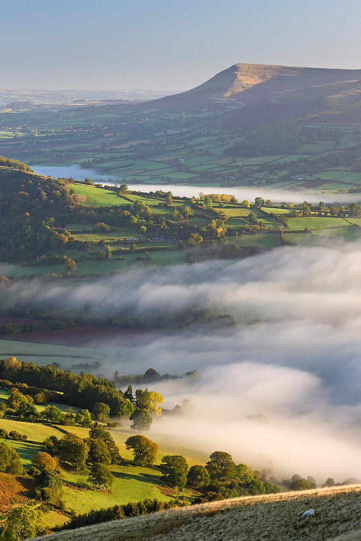 Early morning mist rolls over patchwork countryside in the Brecon Beacons National Park, Powys, Wales, United Kingdom, Europe