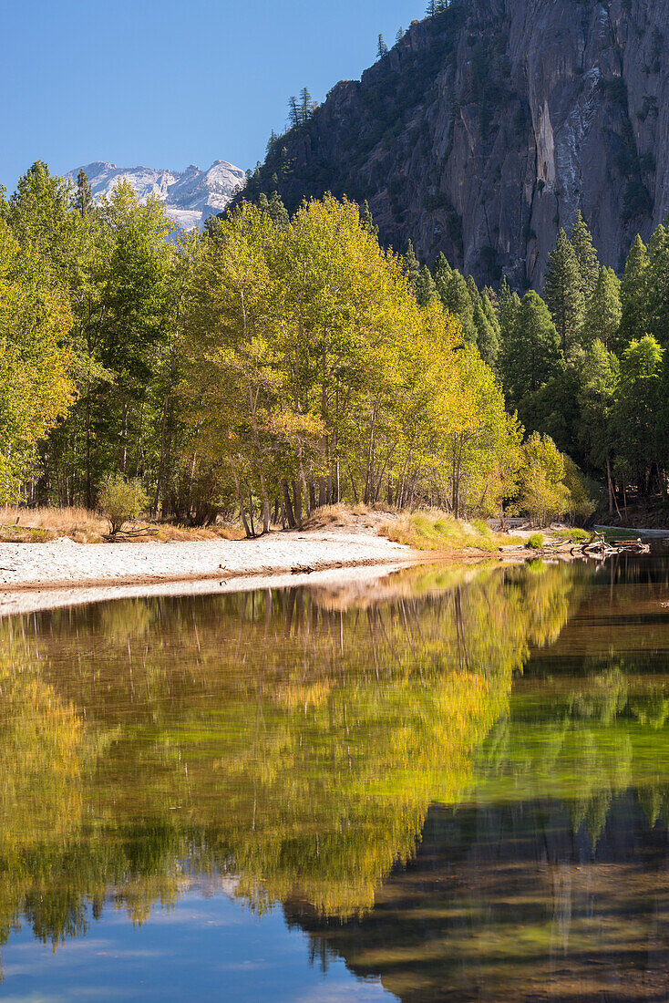 Autumn trees flank the River Merced in Yosemite Valley, California, United States of America, North America