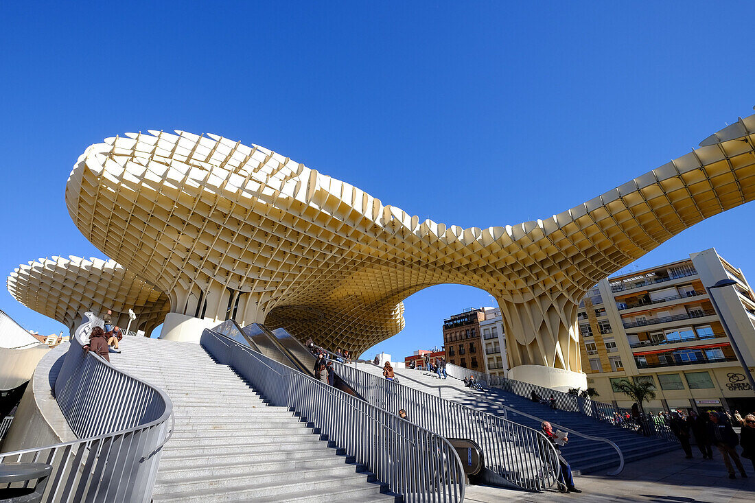 Metropol Parasol, known as Setas de Sevilla (The Mushrooms), the world's largest wooden structure, Seville, Andalucia, Spain, Europe
