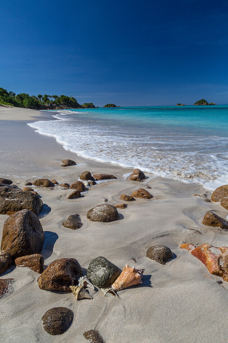 Shells and rocks lie on the beach of Spearn Bay lit the tropical sun and washed by Caribbean Sea, Antigua, Leeward Islands, West Indies, Caribbean, Central America