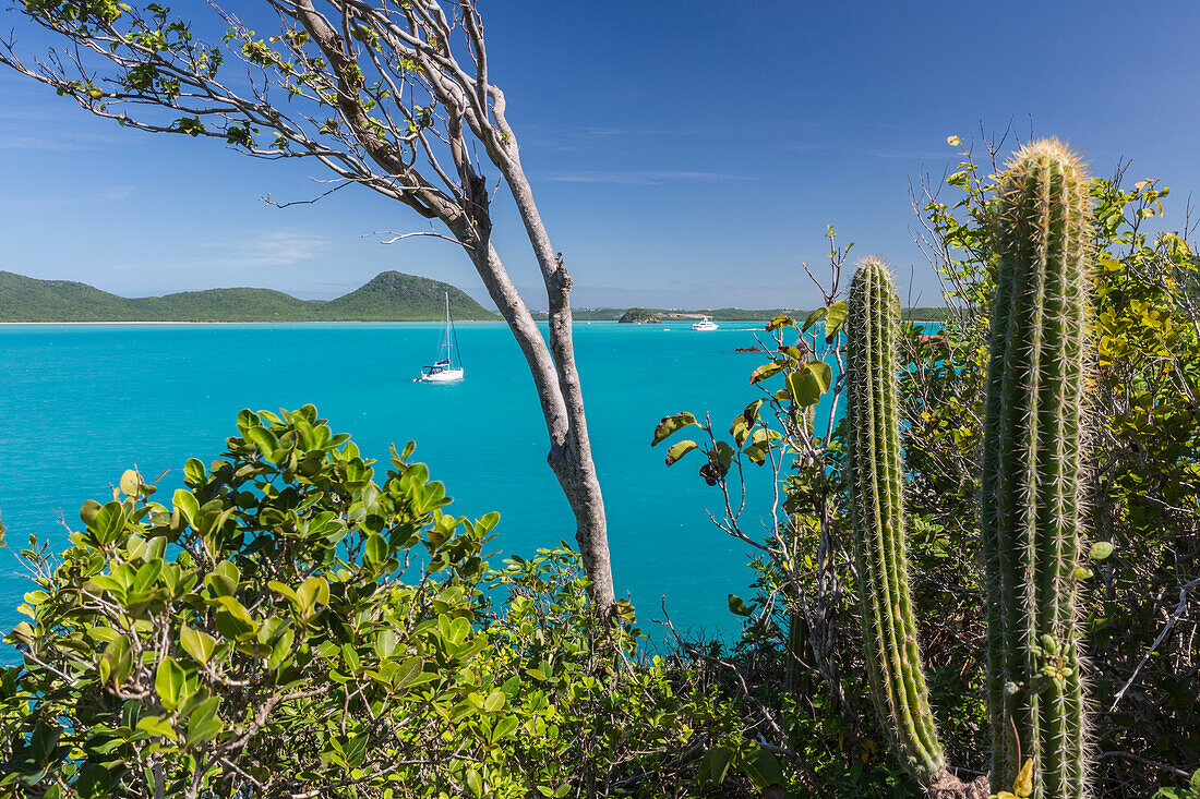 Panoramic view of Spearn Bay from a hill overlooking the quiet lagoon visited by many sailboats, St. Johns, Antigua, Leeward Islands, West Indies, Caribbean, Central America