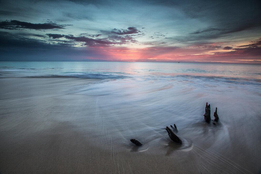 Small tree trunks make a unique setting at sunset on Fryers Beach, Antigua, Leeward Islands, West Indies, Caribbean, Central America