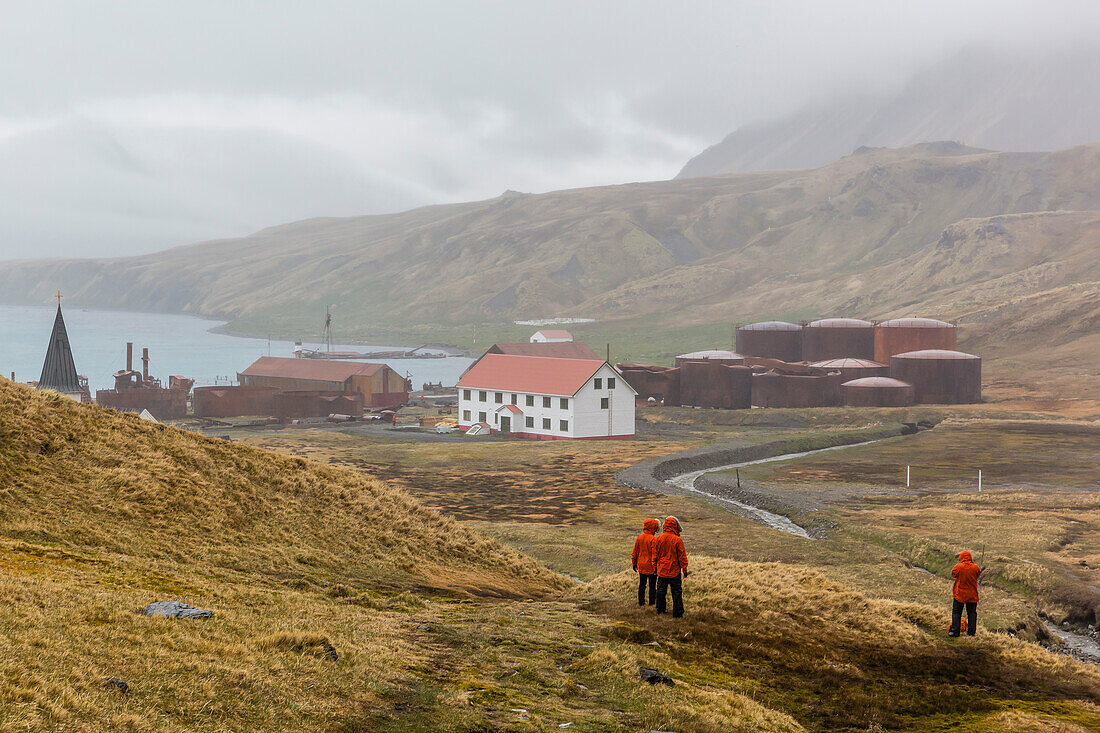 Overview of the abandoned whaling station in Grytviken Harbor, South Georgia, Polar Regions