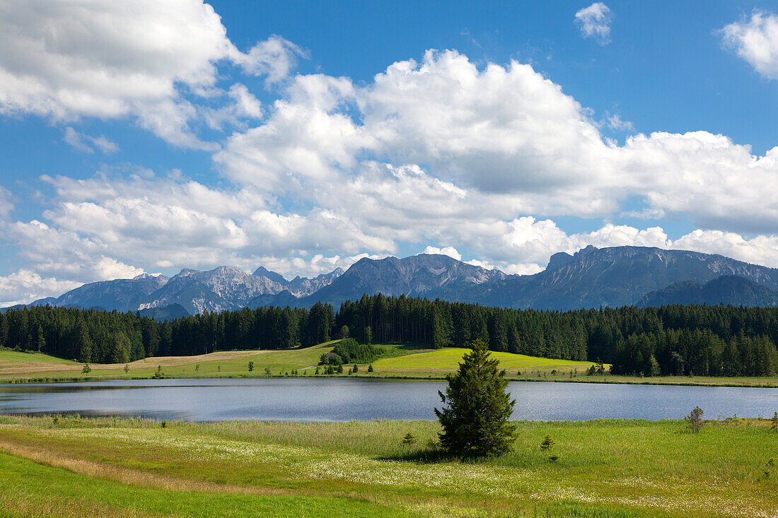 Blick über den Attlesee bei Nesselwang auf die Tannheimer Berge, Allgäu, Bayern, Deutschland