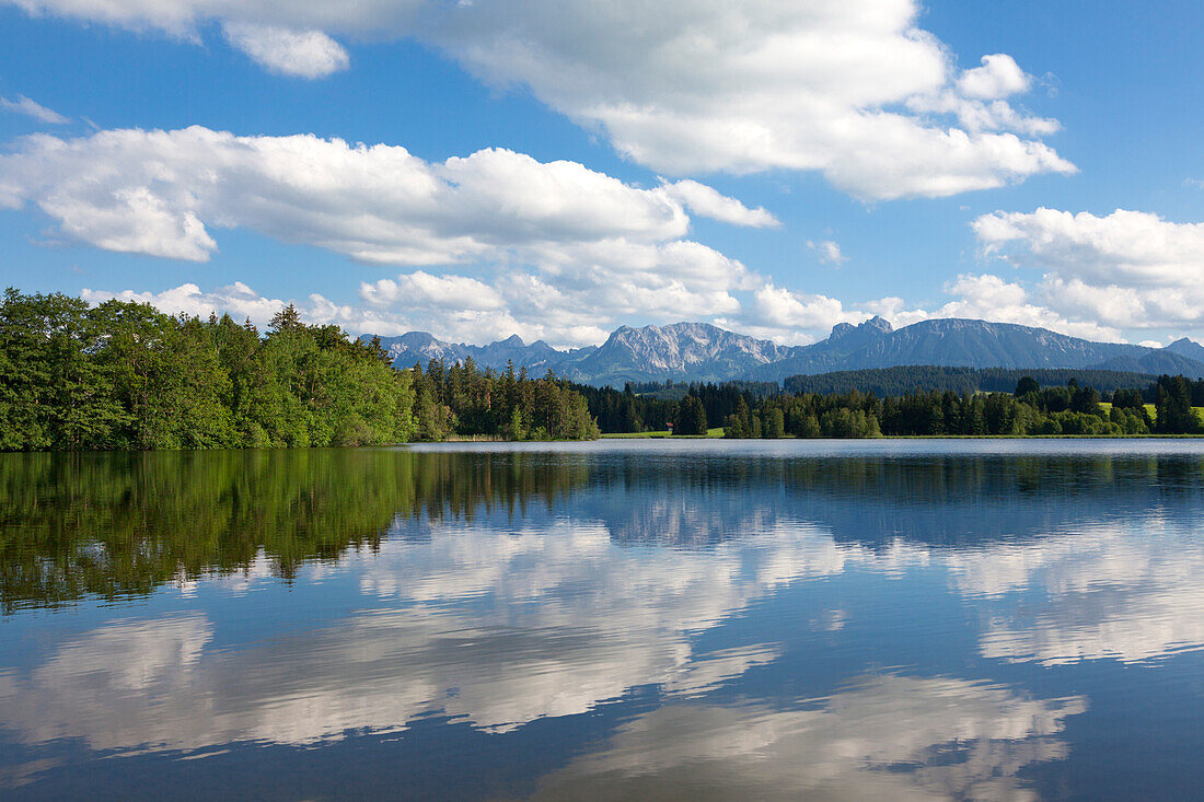 View over Schwaltenweiher near Seeg to Tannheimer mountains, Allgaeu, Bavaria, Germany