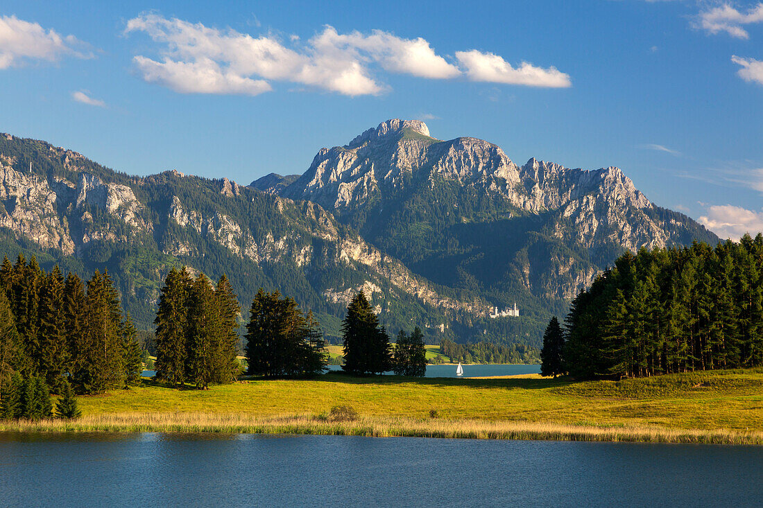 Blick über den Forggensee auf Neuschwanstein und Säuling, Allgäu, Bayern, Deutschland