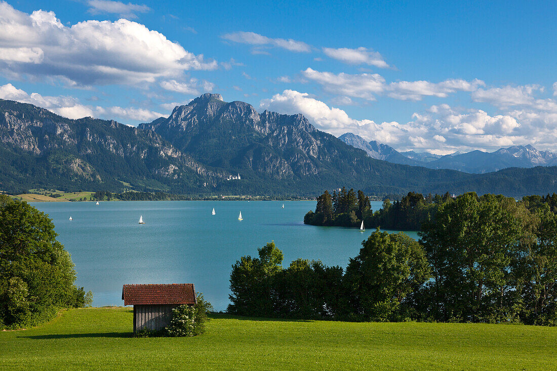 Blick über den Forggensee auf Neuschwanstein, Säuling und Tannheimer Berge, Allgäu, Bayern, Deutschland