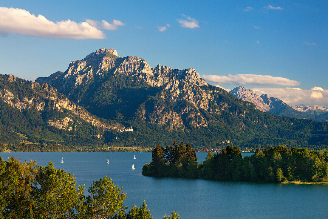 View over Forggensee to Neuschwanstein castle and Saeuling, Allgaeu, Bavaria, Germany