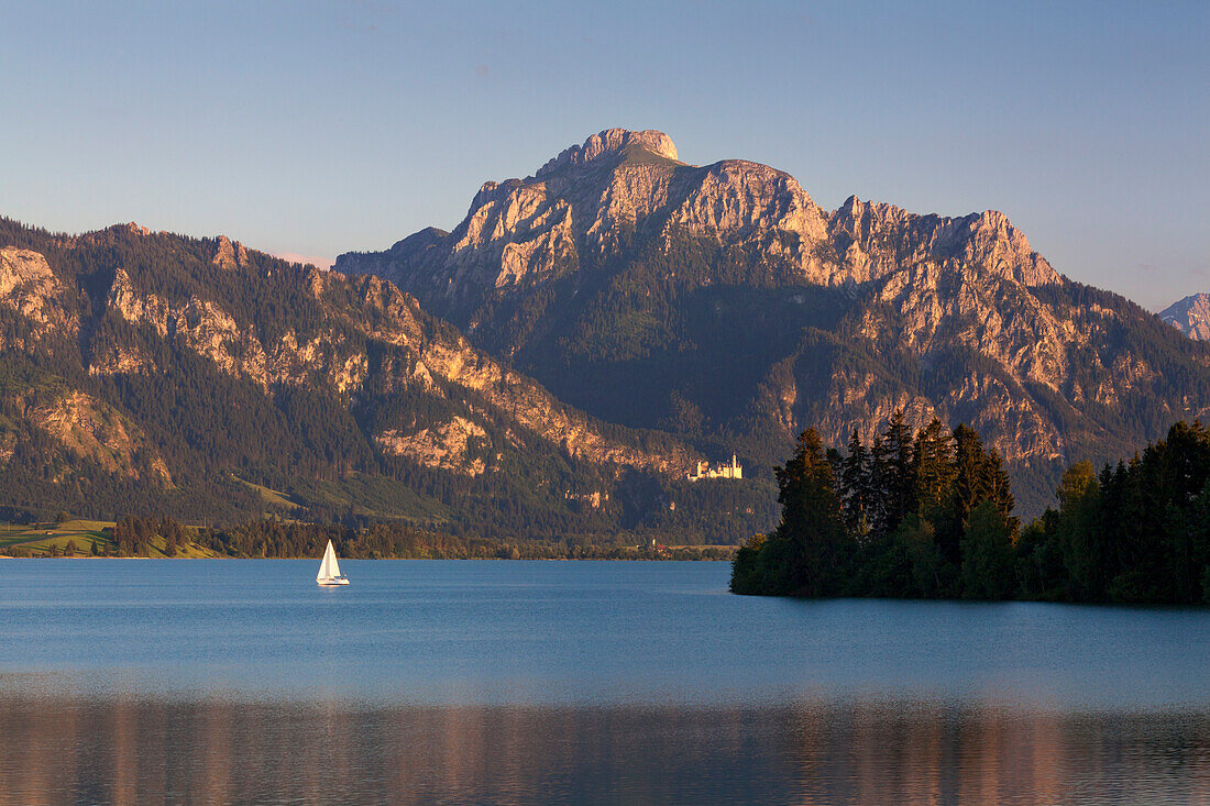 Blick über den Forggensee auf Neuschwanstein und Säuling, Allgäu, Bayern, Deutschland