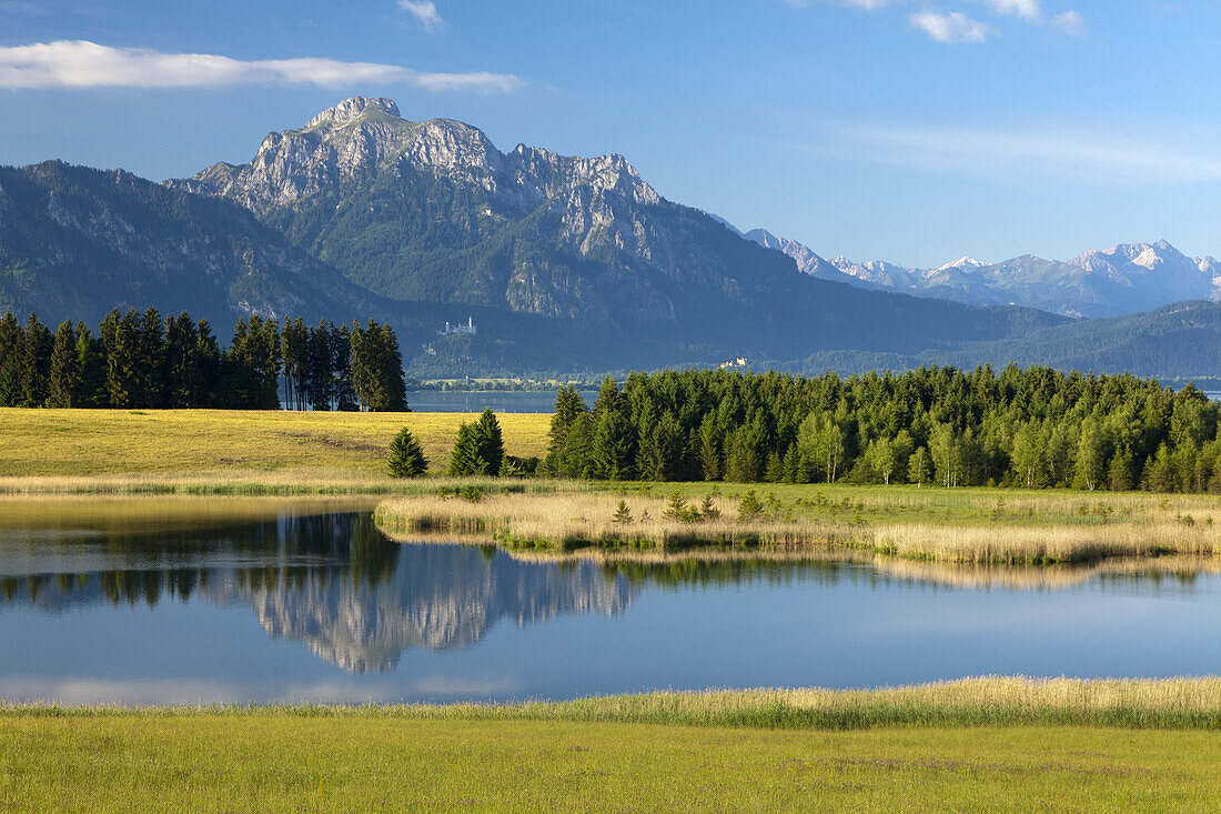 Blick über den Forggensee auf den Säuling und die Schlösser Neuschwanstein und Hohenschwangau, , Allgäu, Bayern, Deutschland